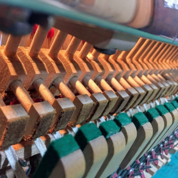 izmjena fnger koze na pijaninskoj mehanici prije glazbala jantolek