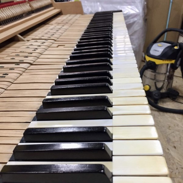 uredenje klavijature slonova kost i ebanovina bajcanje i politiranje poslije glazbala jantolek